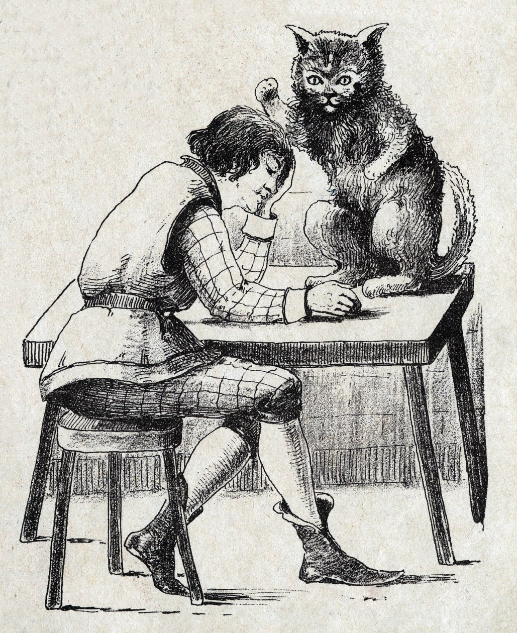 フランスの作家シャルル・ペロー（1628-1703）の物語「ボットのおしゃべり」の匿名の挿絵。イメージ：Marcel Vagne、Jarville Nancy、年代不詳（19世紀後半）。 作： 無名の画家
