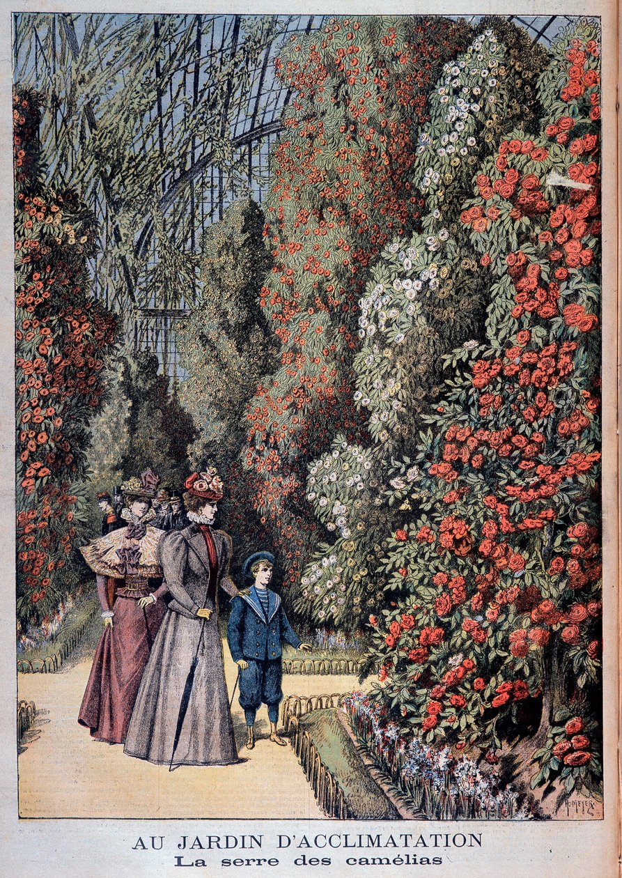 Jardin d