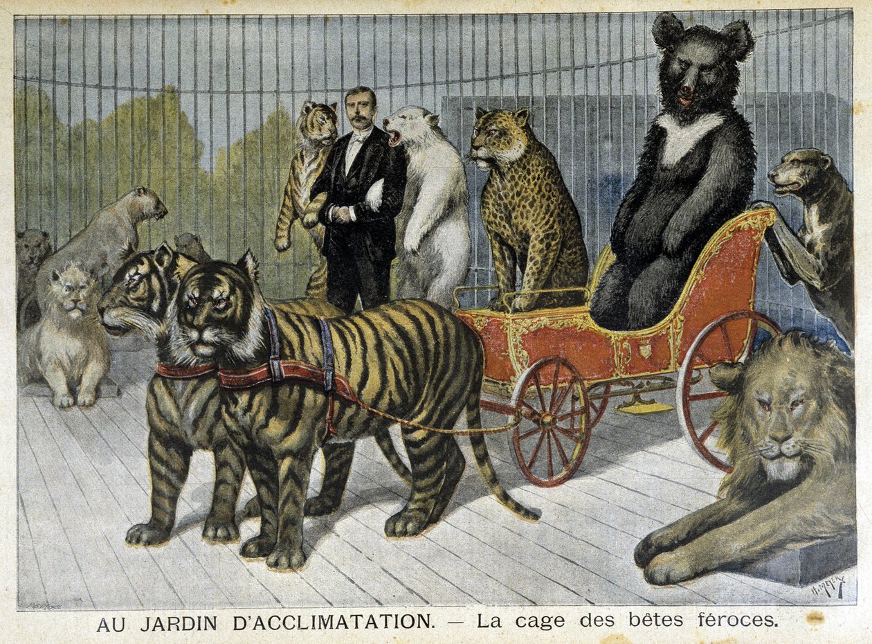 ジャルダン・ダクリマサシオン：猛獣の檻 - 1895年2月6日付「Le Petite Journal」にて 作： 無名の画家