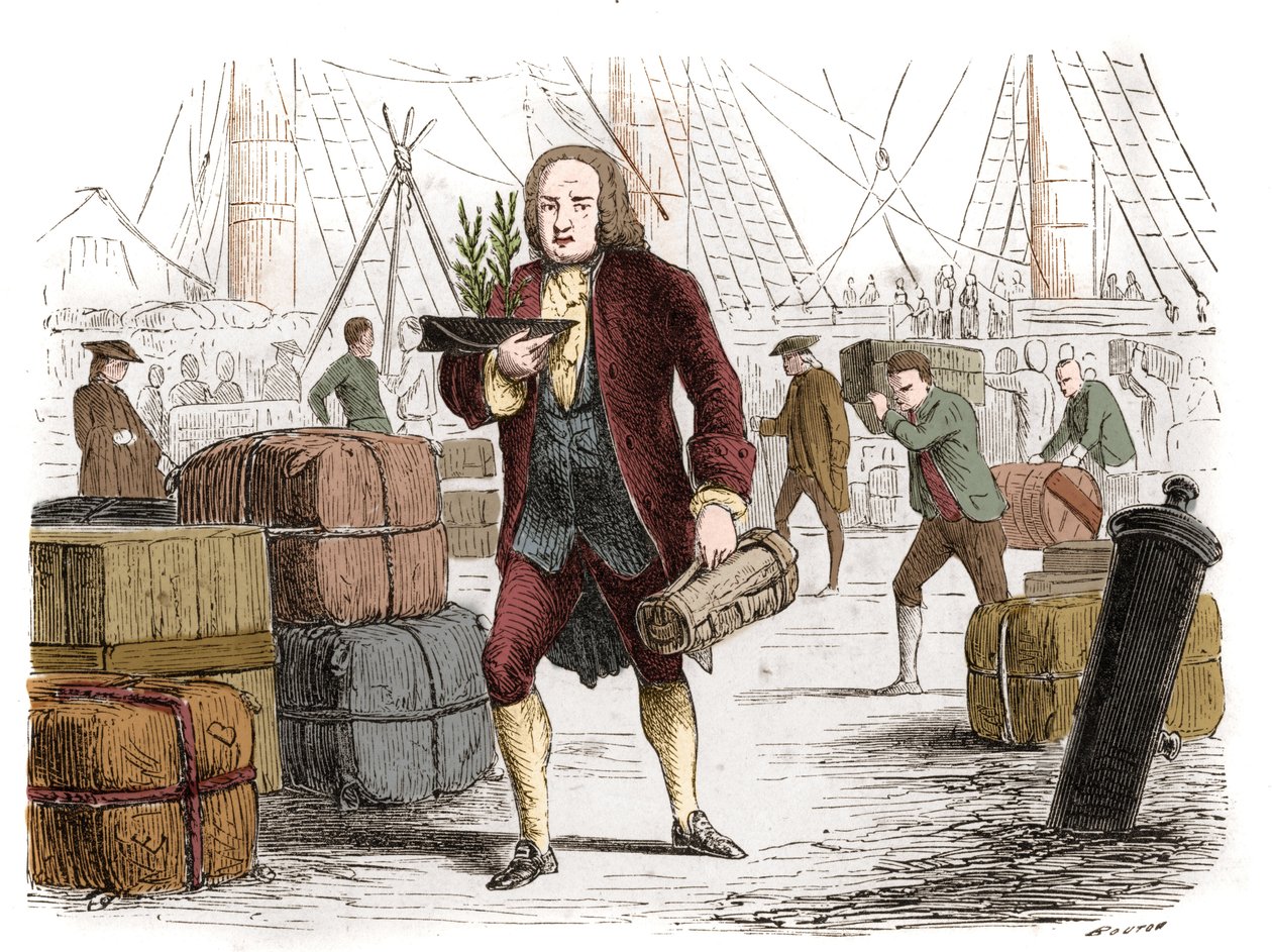 Bernard de Jussieu (1699-1777), フランスの植物学者で、1734年にイギリスからレバノン産の2つのセドルを持ち込んだ。1861年のエングレーヴィング。 作： 無名の画家