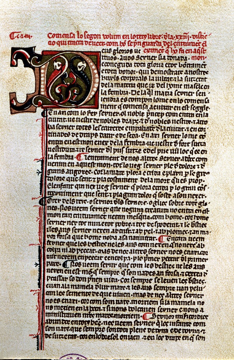  作： 無名の画家