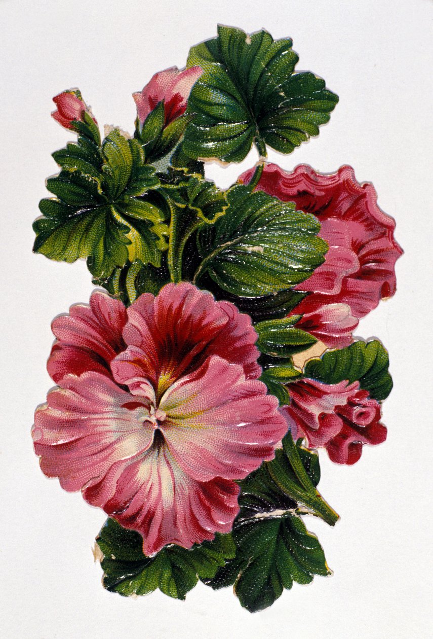 花のブーケ19世紀のクロモリトグラフ。 作： 無名の画家