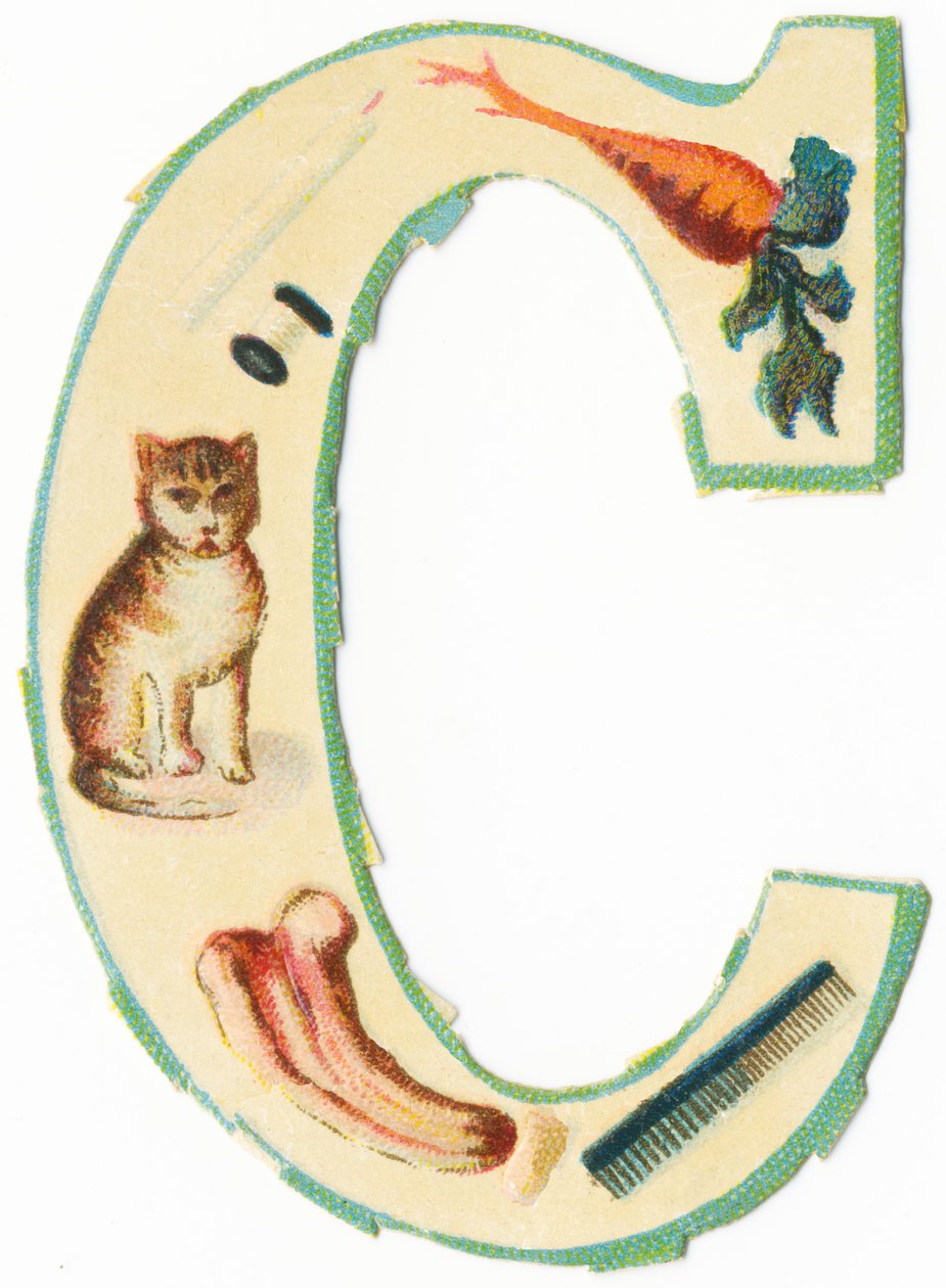 C：珊瑚、にんじん、ろうそく、綿、猫、コロシント、とさか（カラーリト） 作： 無名の画家