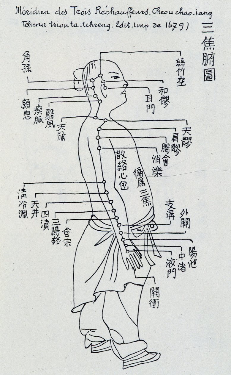中国鍼灸：三熱の経絡 作： 無名の画家