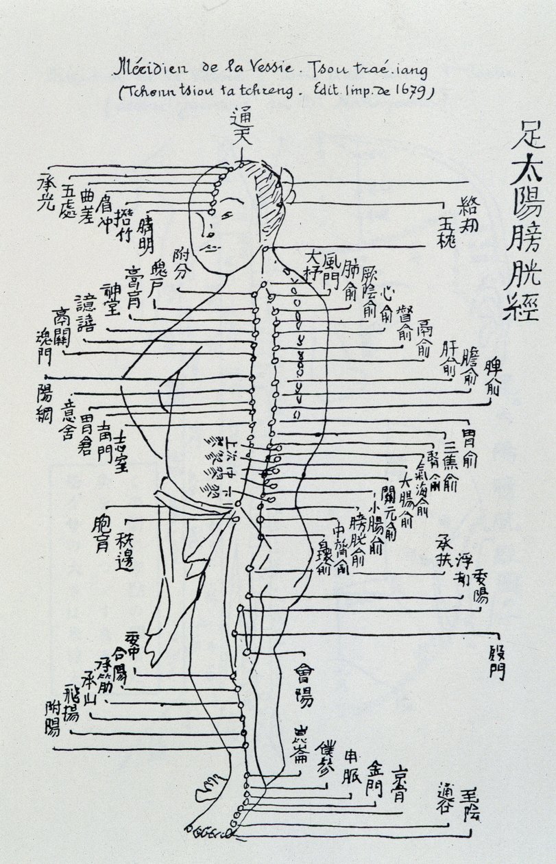 中国鍼灸：膀胱の経絡について 作： 無名の画家