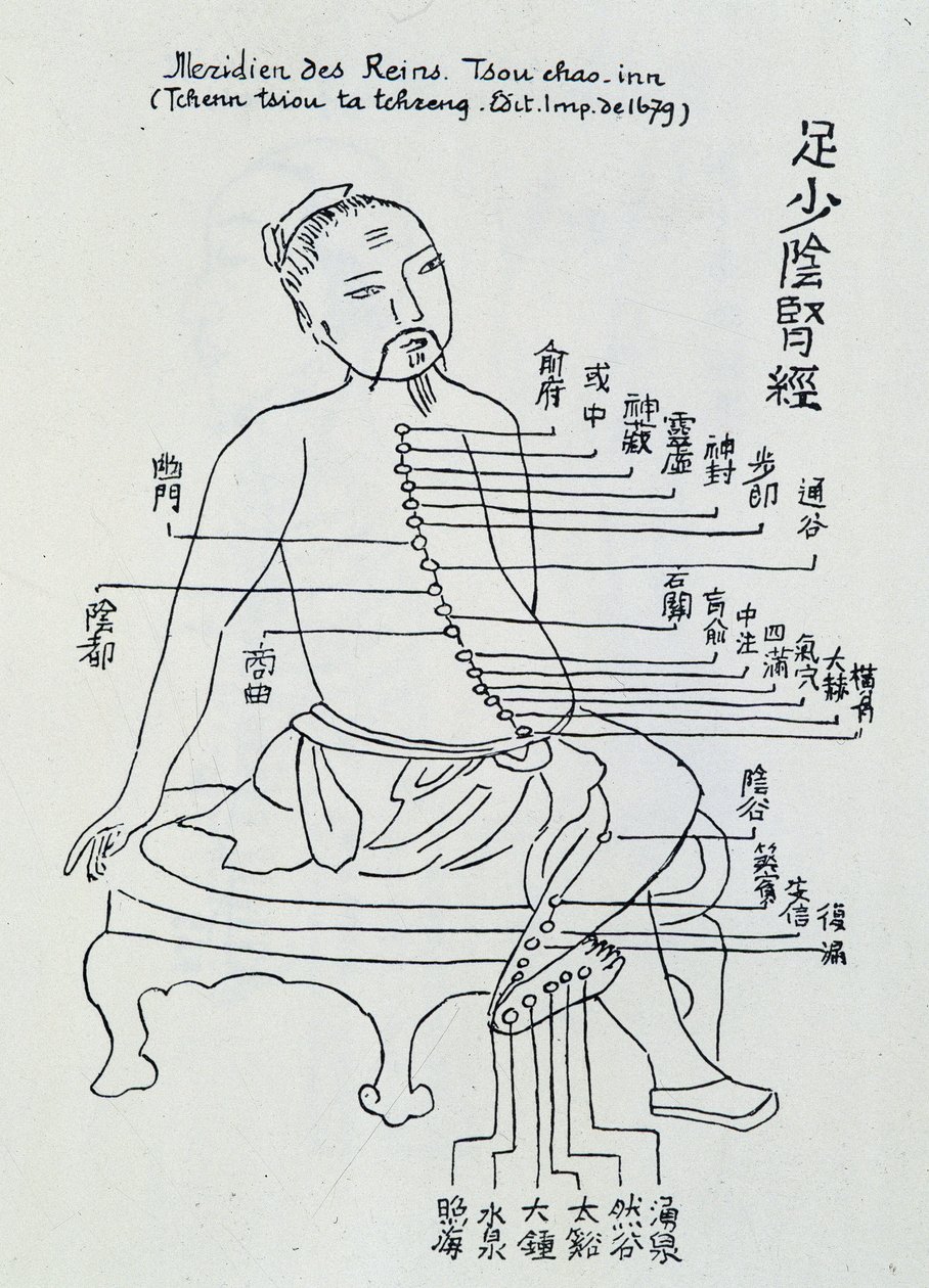 中国鍼灸：腎の経絡 作： 無名の画家