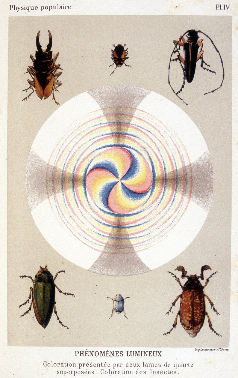 重ね合わせた2枚の石英の刃による発色、昆虫の発色 - Emile Desbeauxの "La physique populaire "より 作： 無名の画家