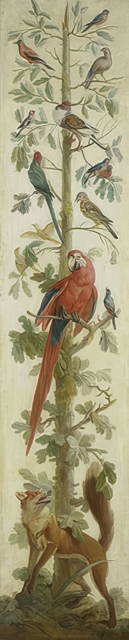 動物と装飾的なイラスト。 1760-1800 作： 不明