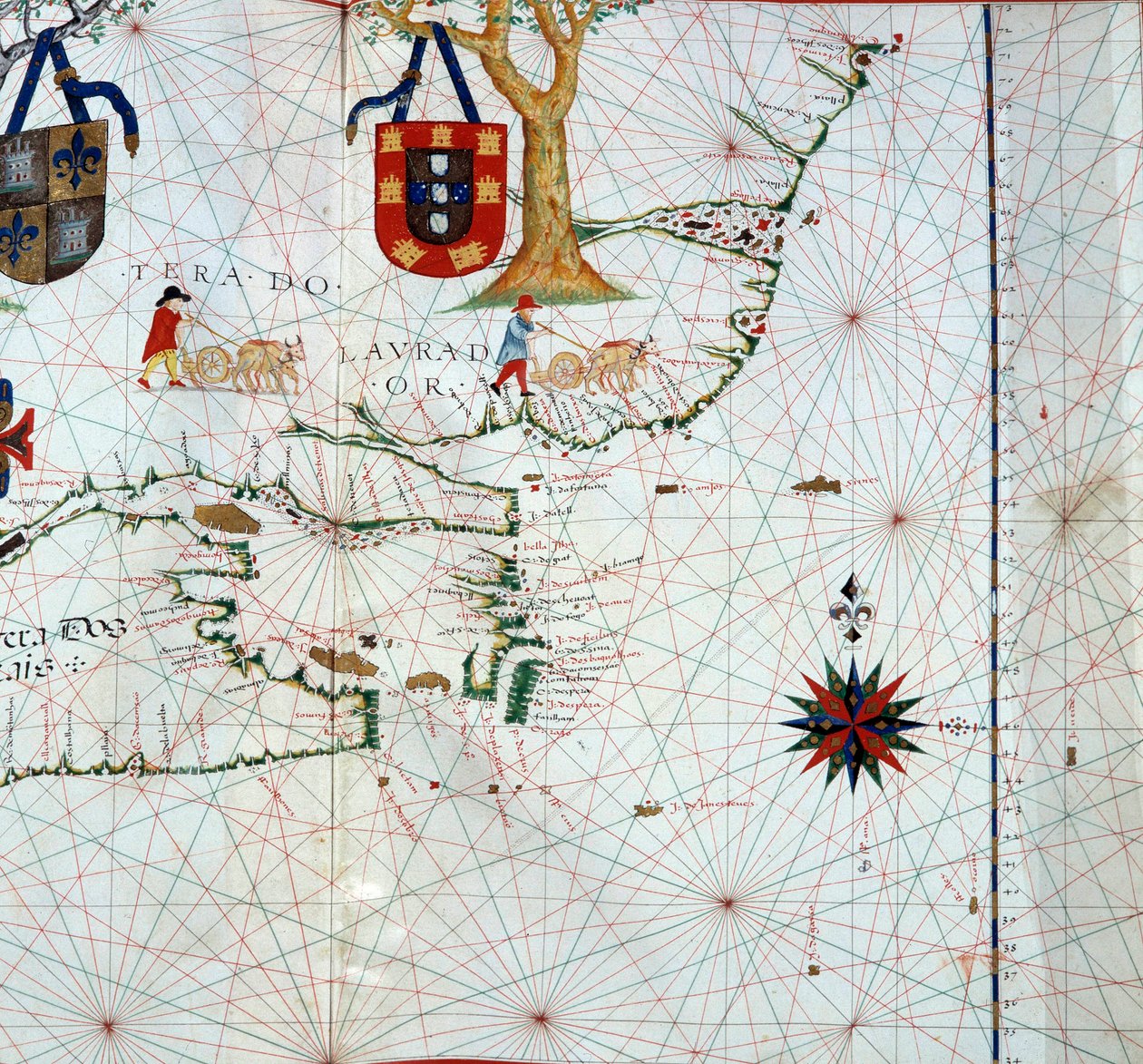 カナダ東部、ラブラドール（マークランド）の地図の詳細 作： 無名の画家
