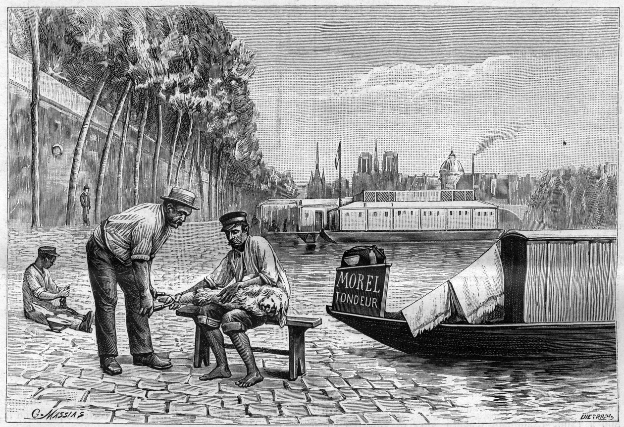 パリのソルフェリーノ橋の近くで犬が切っている - 1892年の "La nature "に掲載された彫刻。 作： 無名の画家