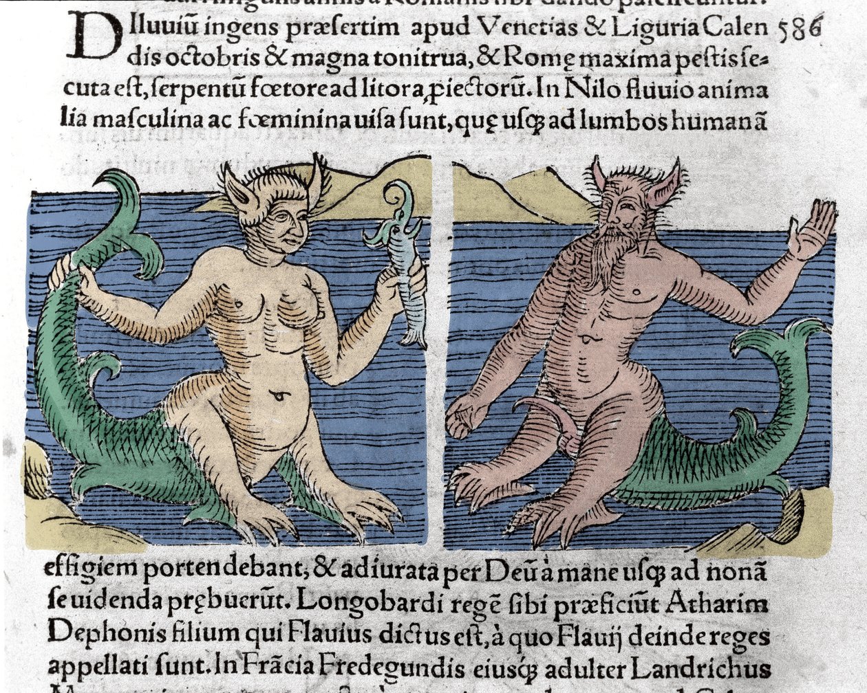 幻想的な生き物。ナイル川で見かけたイモリとセイレーン。1557年、ウォルフハルト（コンラッド・ライコステイン）の「神童たちの記録」からの挿絵 作： 無名の画家