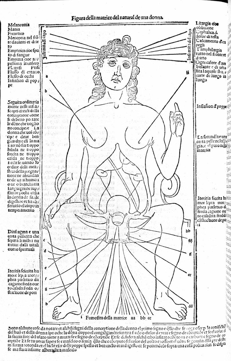 女性の生殖器-ジェロラモ・カルダーノ（カルダーノ）（カルダヌス・ヒエロニムス）の『医学論集』（1585年、フィレンツェ）にある。 作： 無名の画家