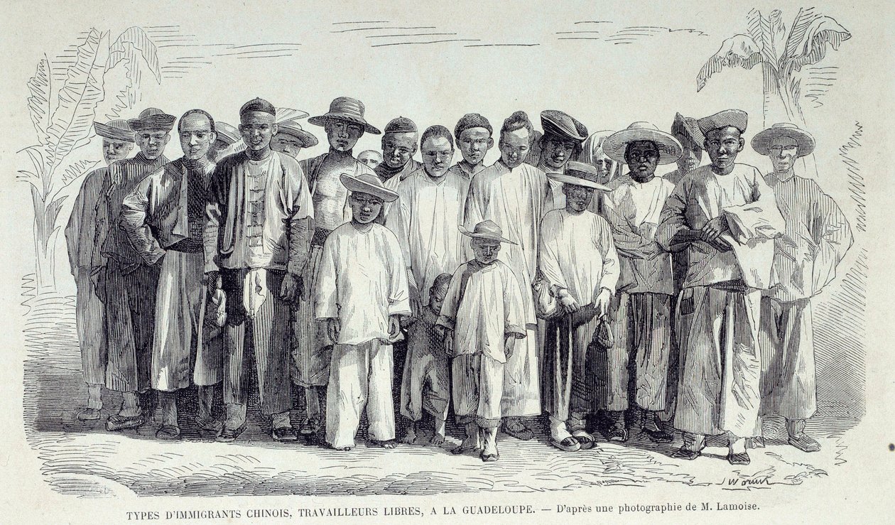 フランス植民地の歴史。グアドループで働く中国系移民たち。19世紀末のシャルトルのミュゼ・デ・ボザールの写真をもとに描かれたドローイング 作： 無名の画家