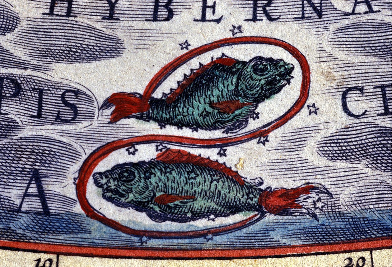 ホロスコープ：十二支のサイン、魚座。16世紀のエングレーヴィング。 作： 無名の画家