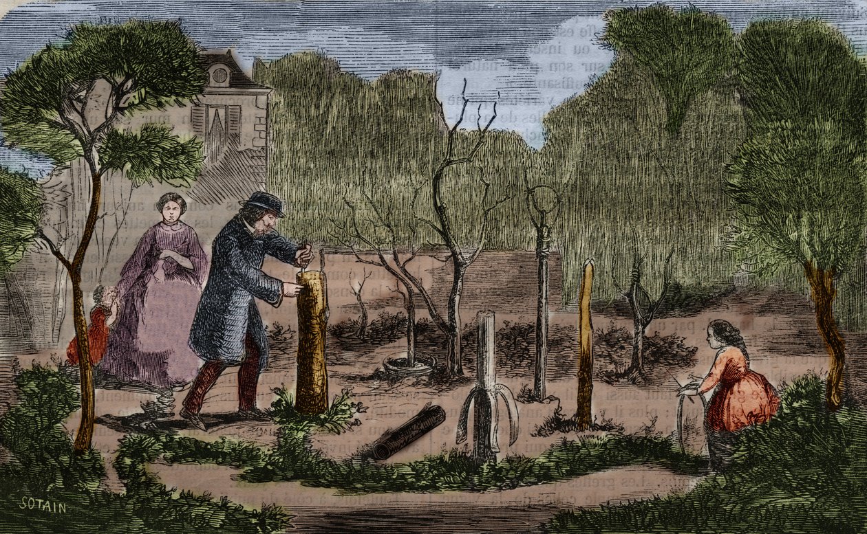 園芸：植物の移植の主な方法。1860年の彫刻。 作： 無名の画家