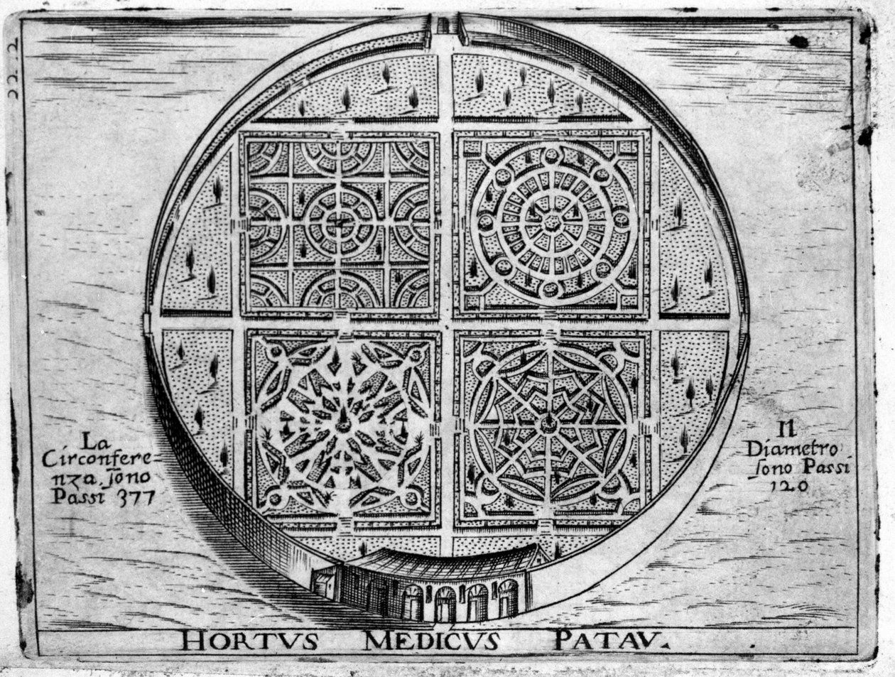 Hortus Medicus Patav:パドヴァの医学庭園 作： 無名の画家