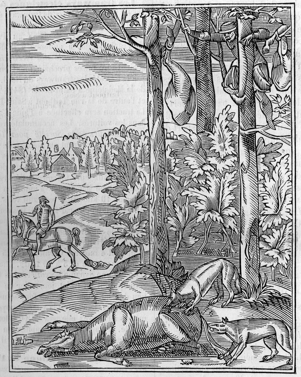 狼を狩る：見張り番。16世紀に描かれた木版画のFac simile（複製）。1892年4月9日の "La Nature: revue des sciences et de leurs applications aux arts et a l