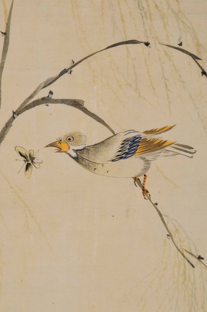 華城堂 作： 無名の画家