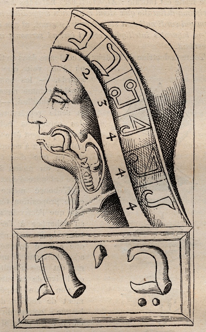 フランシスカス・メルクリウス・ヴァン・ヘルモント（1618-1699）の "Alphabeti vere naturalis Hebraici brevissima delineatio"（自然界のアルファベット）の図版（フランシス・メルクリウス・ヴァン・ヘルモントは、ヘブライ語のアルファベットの各文字（原語であるとされている）が、自然界のアルファベットであると主張した。 作： 無名の画家