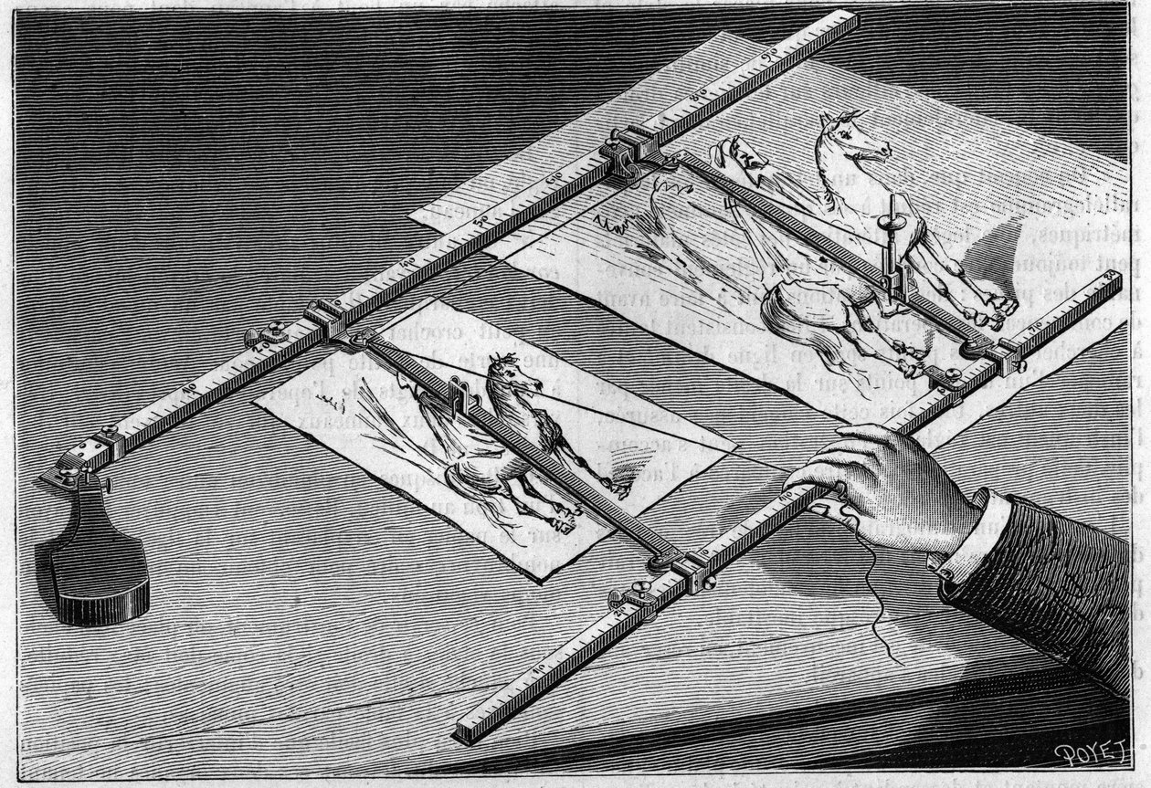 メレッセのタコグラフの使用説明書。 作： 無名の画家