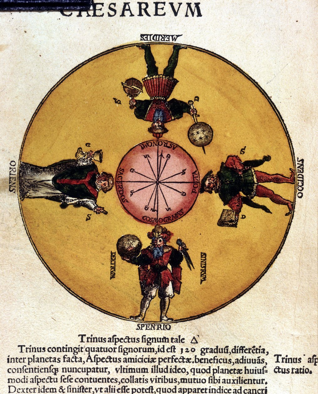 Les antipodes - 16世紀の論文、"Astronomicon caesarum "より。 作： 無名の画家