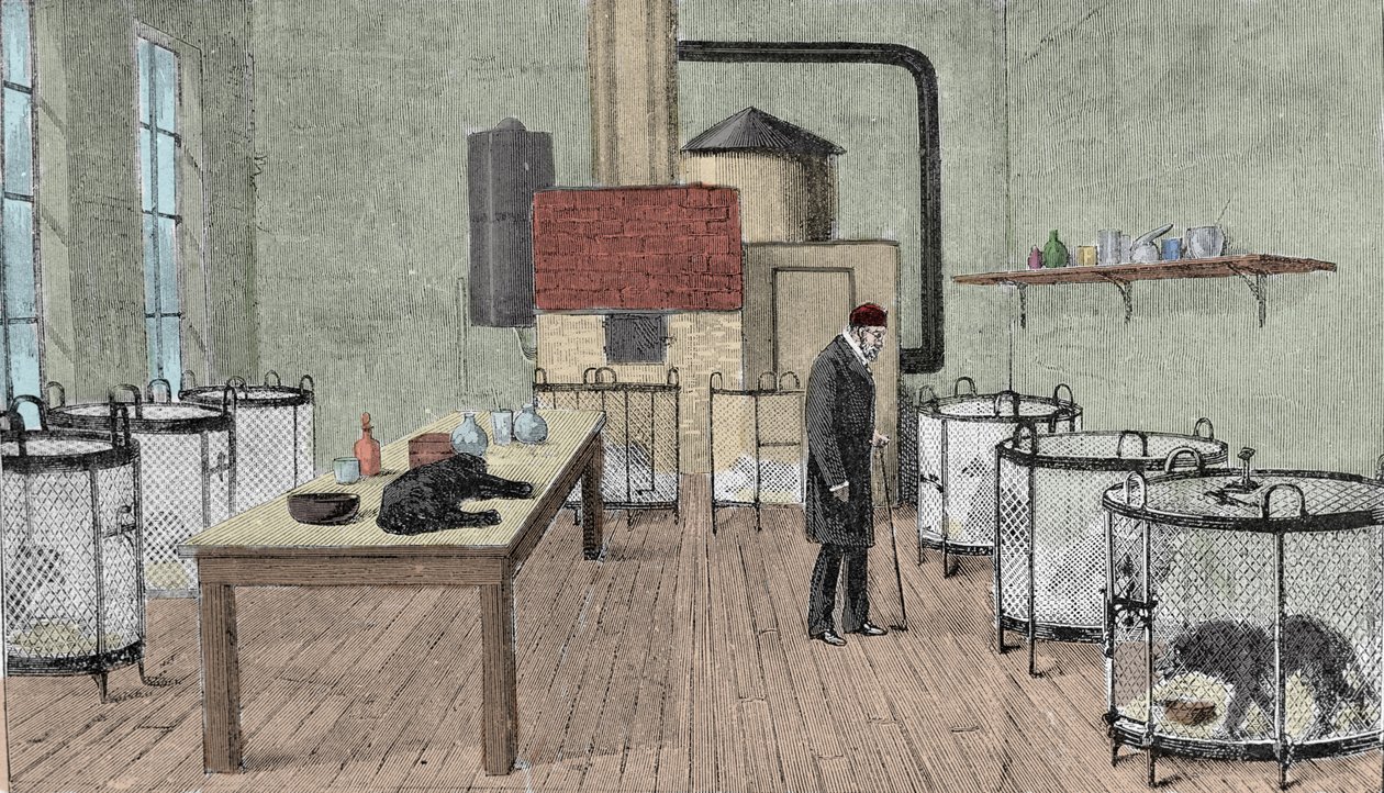 ルイ・パスツール（1822-1895）：フランスの化学者・物理学者、パリの研究室にて。 作： 無名の画家
