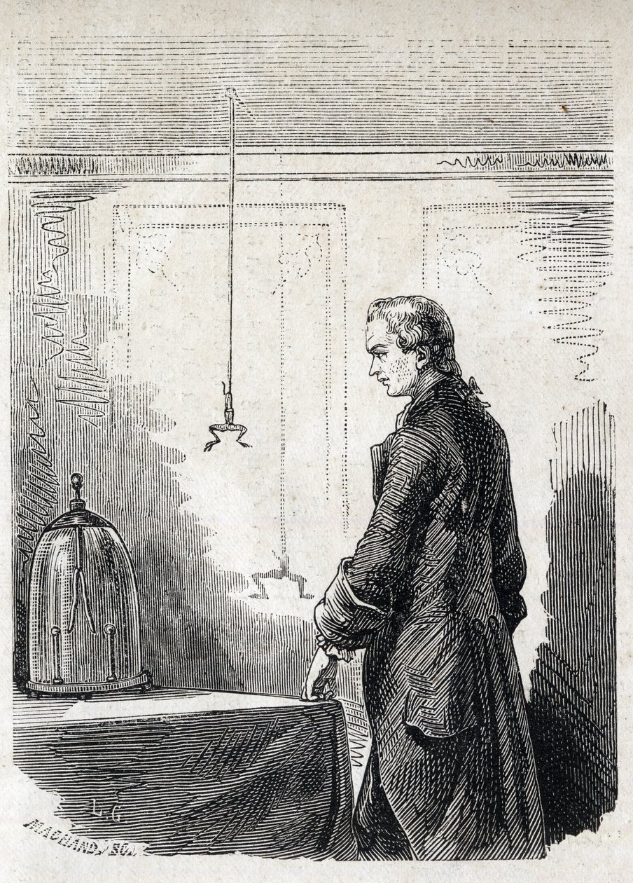 ルイジ・ガルバーニ、雷雲の電気でカエルの収縮を起こす - LUIGI GALVANI (1737-1798) イタリアの医師・物理学者。雷雲の電気でカエルの収縮を引き起こす 作： 無名の画家