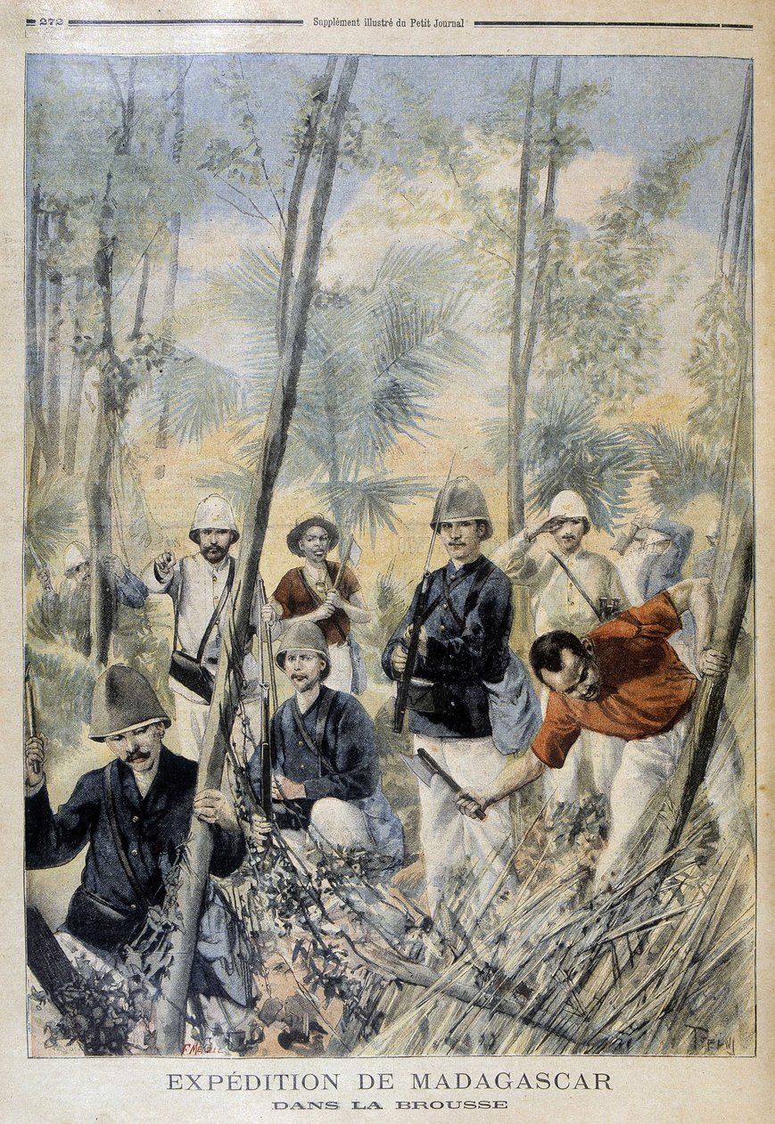 マダガスカル遠征：ブッシュの中で-「Le Petity Journal」1895年8月号掲載 作： 無名の画家