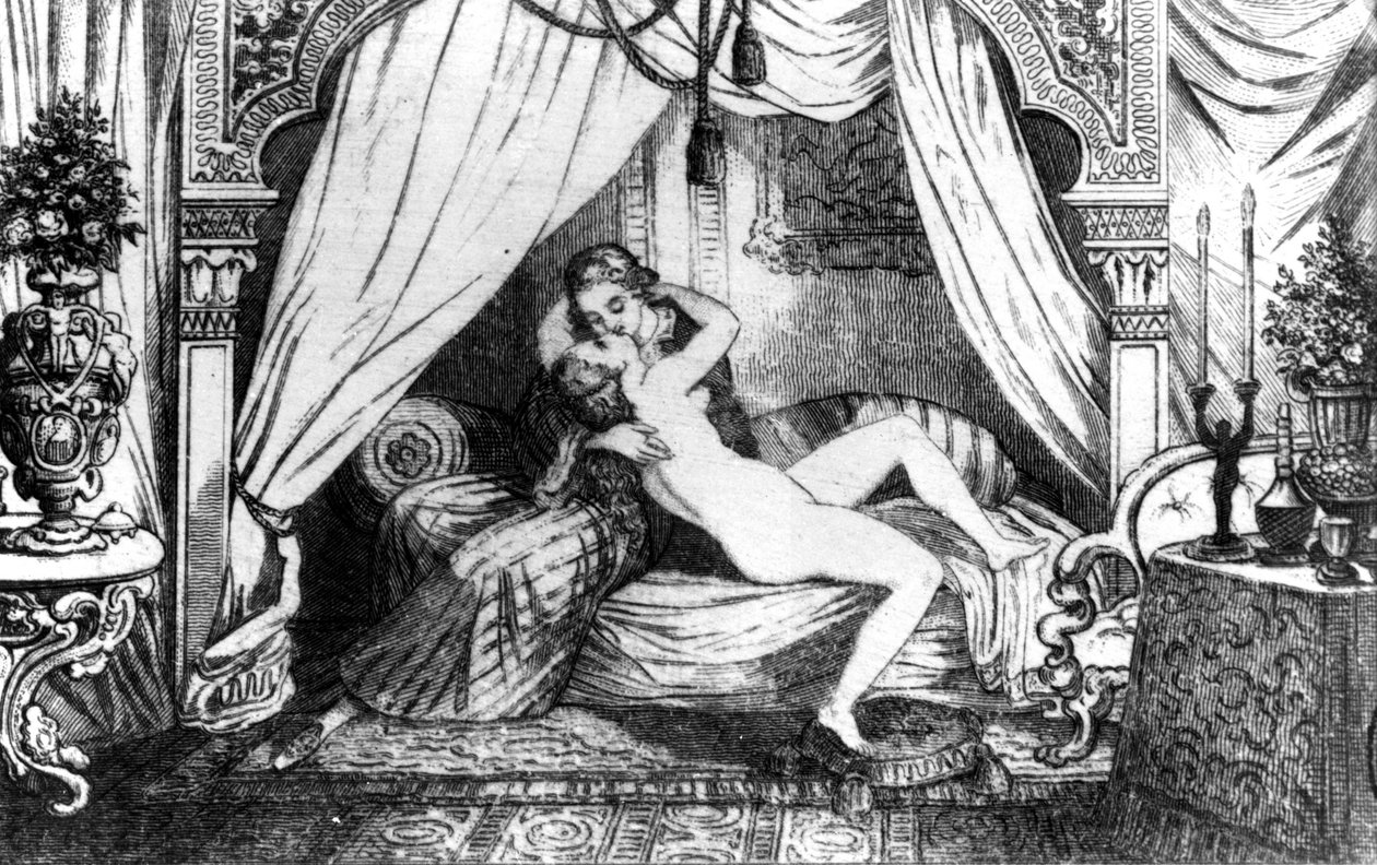 Marinette - カサノバの「Histoire de ma vie」に登場する。1872年のブリュッセル。 作： 無名の画家