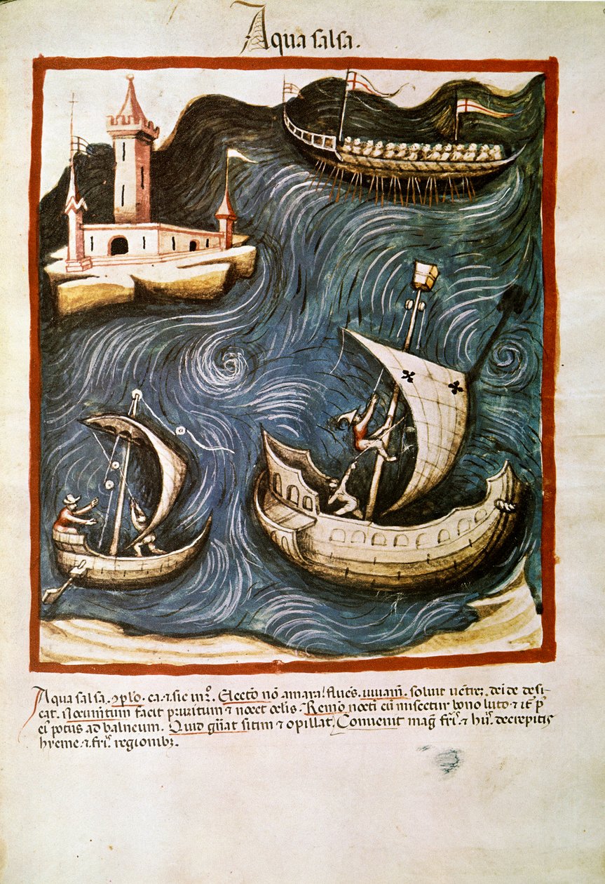 薬の取引：「塩水」 「Tacuinum sanitatis」（Cod.ser.nov.2644）からの引用ページ 1400年頃 ウィーン、オスタライシュ国立聖書館 作： 無名の画家