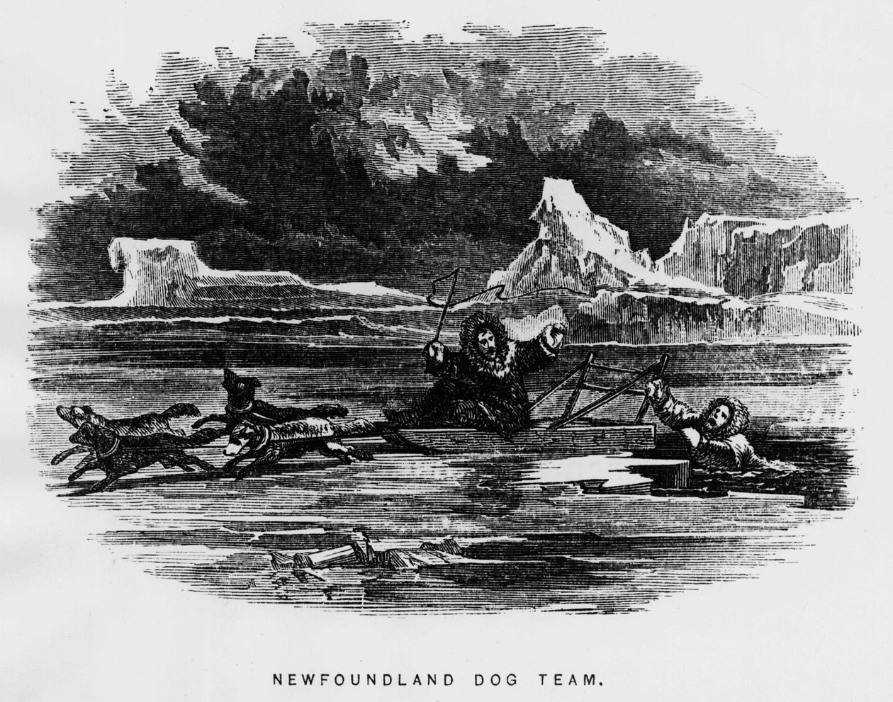 北極点：そり犬がホバリングしている間に男が氷の中に落ちる - Elisha Kent Kane, Artic Exlorations in the year 1853-1855, Philadelphia, Childs and Peterson 作： 無名の画家