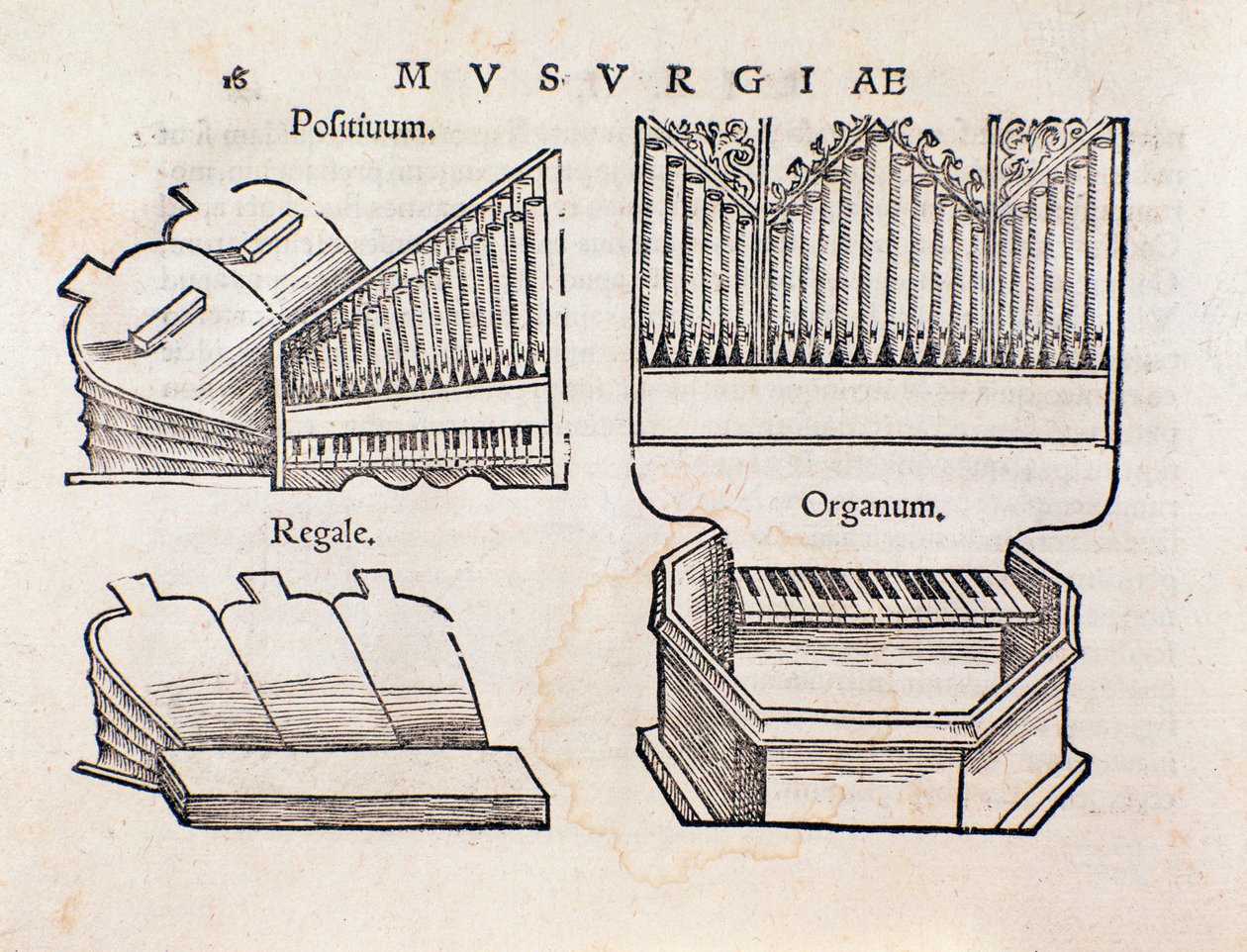 オルガンの表現。Musurgia practical manual of musicから引用しています。 作： 無名の画家