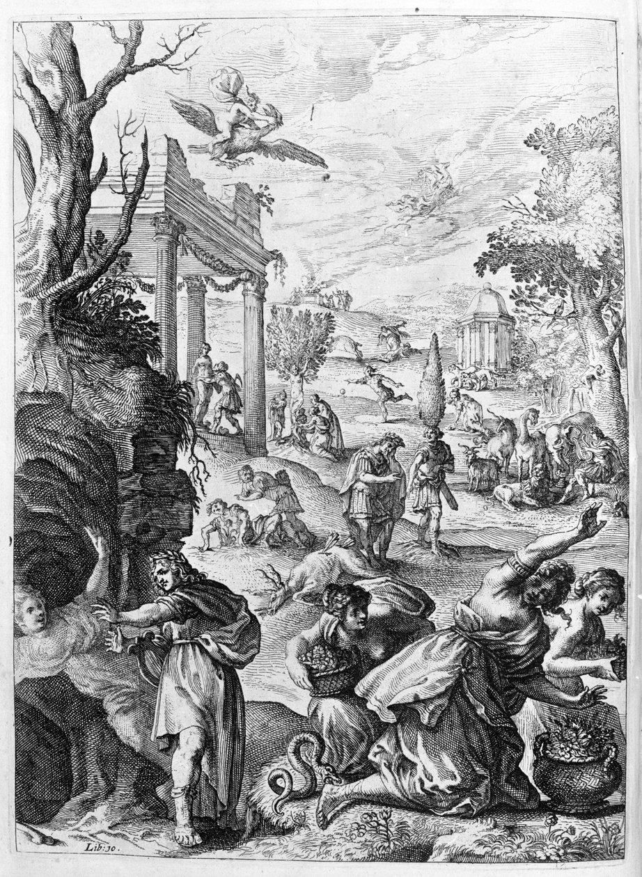 オヴィド（オヴィディウス） - 第15巻の挿絵 - （P. Ovidii Nasonis Metamorphose libri XV um notis TH. Farnabii.）Thomas Farnaby (Farnabia) (1575-1647)によるメモ。 作： 無名の画家