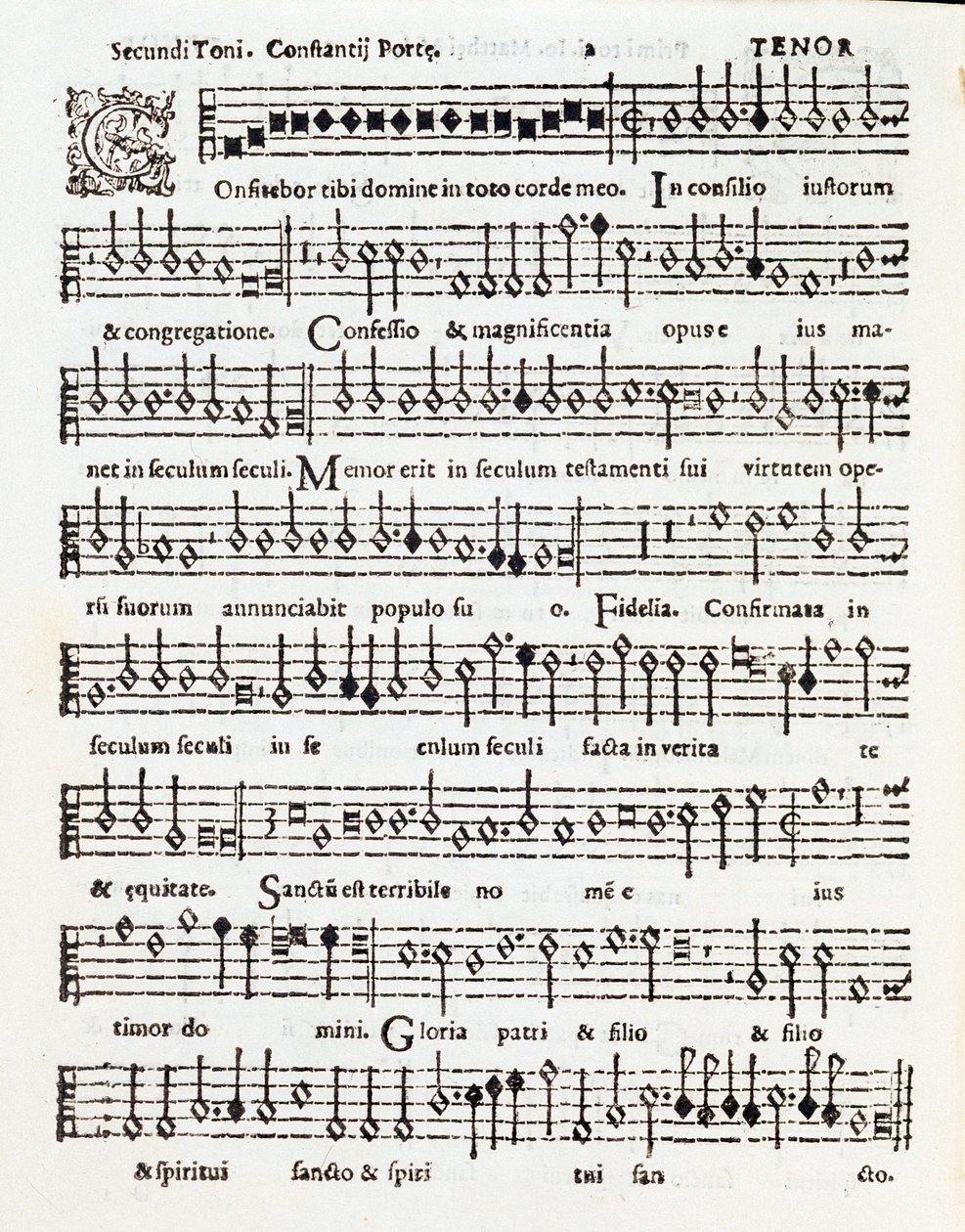 コスタンゾ・ポルタがパレストリーナに捧げた詩篇「Confitebor tibi dominine」の楽譜のページ。 作： 無名の画家