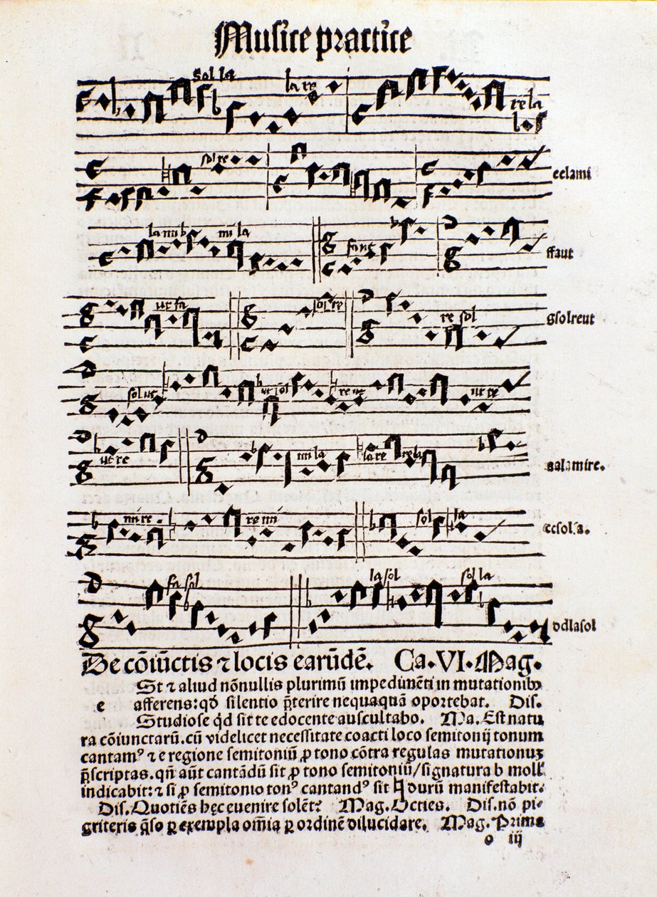 マルガリータ・フィロソフィカの音楽理論のページ 作： 無名の画家