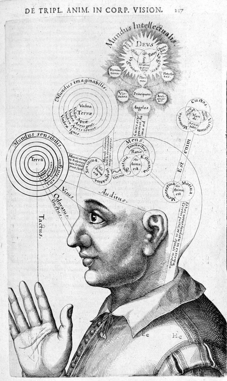 ロバート・フラッド（Robertus de Fluctibus）の『Collectio Operum』に掲載された人相学の画像（骨相学）。ロンドン 1617年 作： 無名の画家
