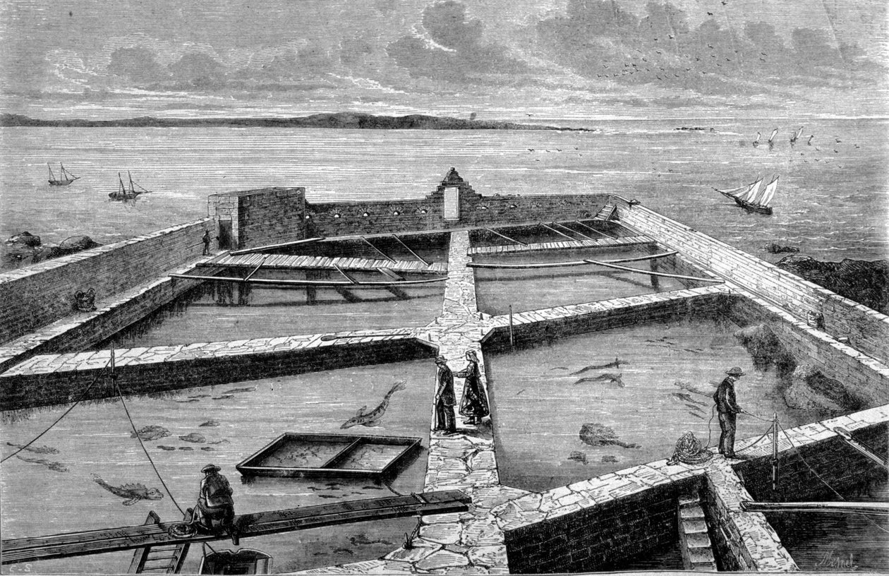 コンカルノーでの魚釣り。1860年に描かれたもの。 作： 無名の画家