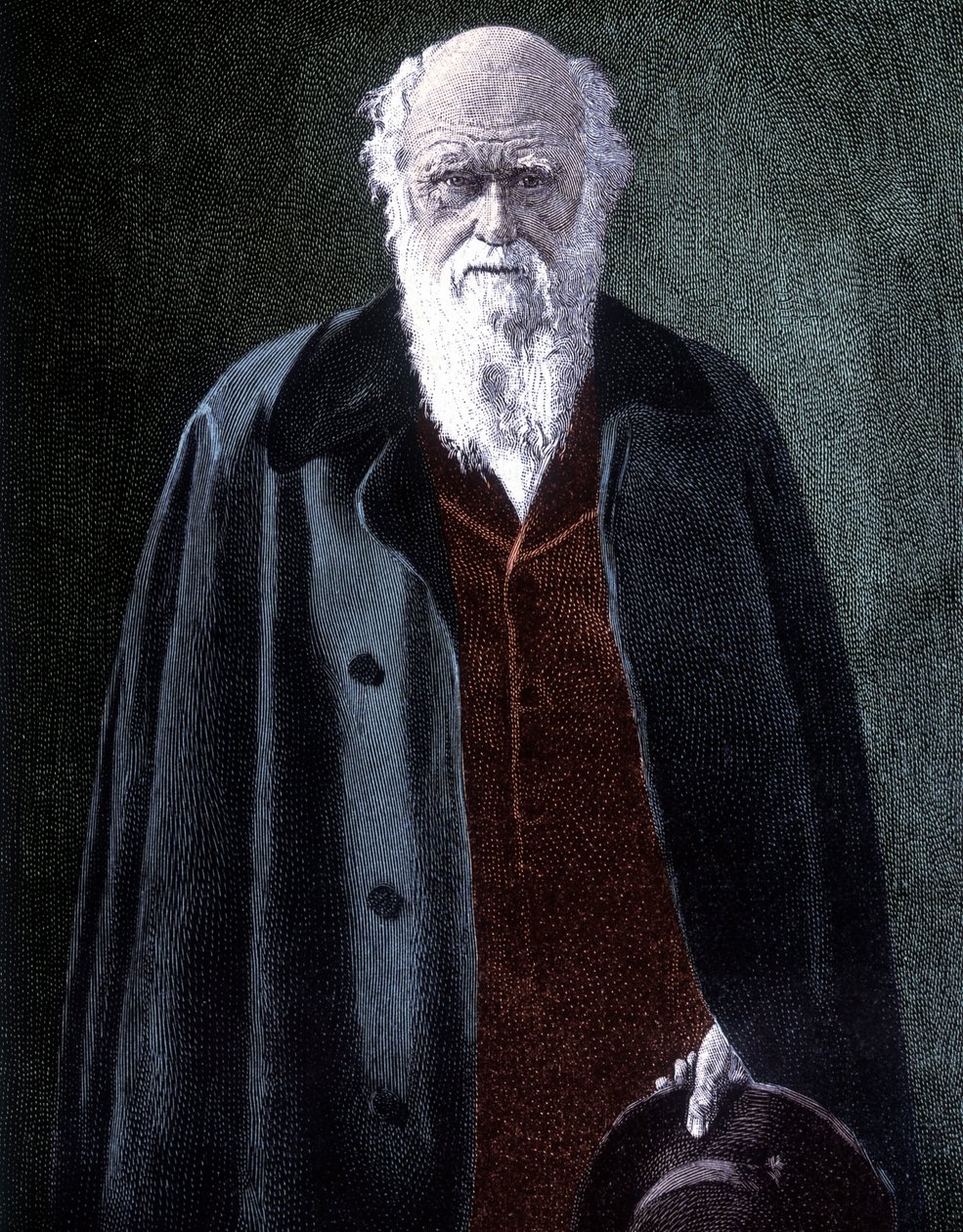 チャールズ・ダーウィン（イギリスの博物学者）の肖像（1809年～1882年 作： 無名の画家