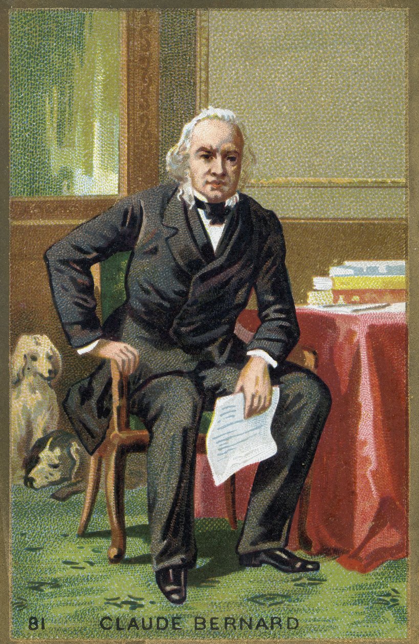 フランスの生理学者、クロード・ベルナール（1813-1878）の肖像。 作： 無名の画家