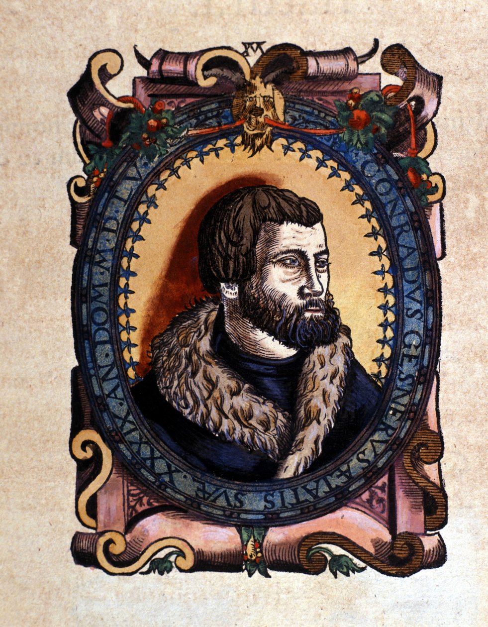 Conrad Gesner (1516 - 1565) チューリッヒの医師の肖像（Conrad Gesner作 Historia Animalium, Tiguri 1560の後に）。Braidense国立図書館。ミラノ 作： 無名の画家
