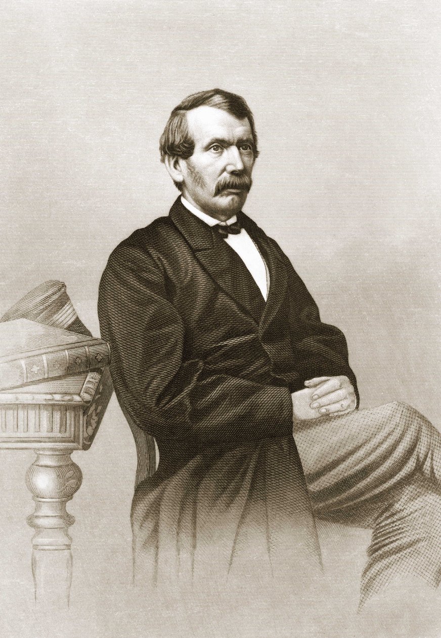 デイヴィッド・リヴィングストン（1813〜1873）の肖像。 作： 無名の画家