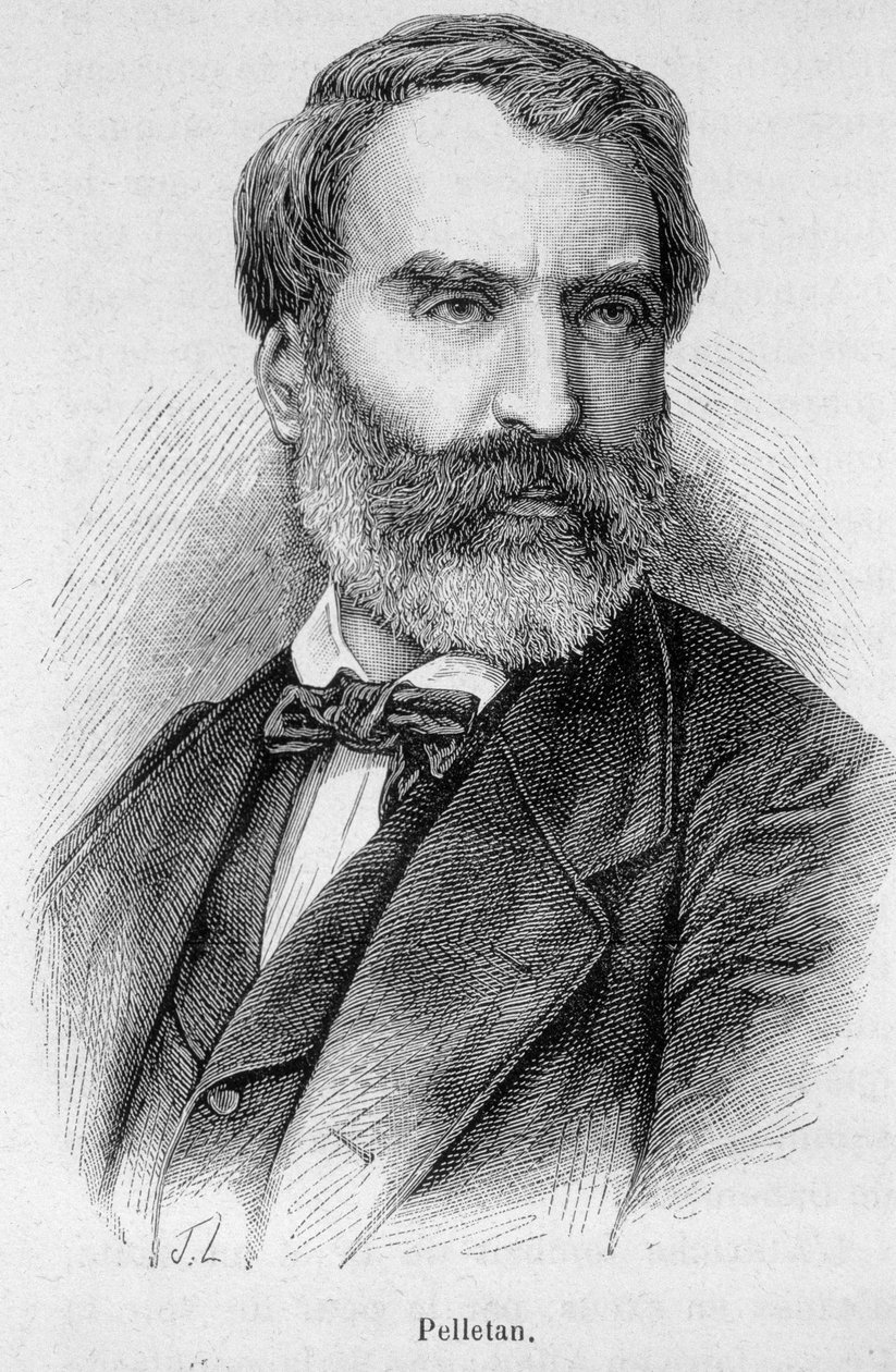 フランスのジャーナリスト、作家、政治家であるウジェーヌ・ペレタン（1813-1884）の肖像。 作： 無名の画家