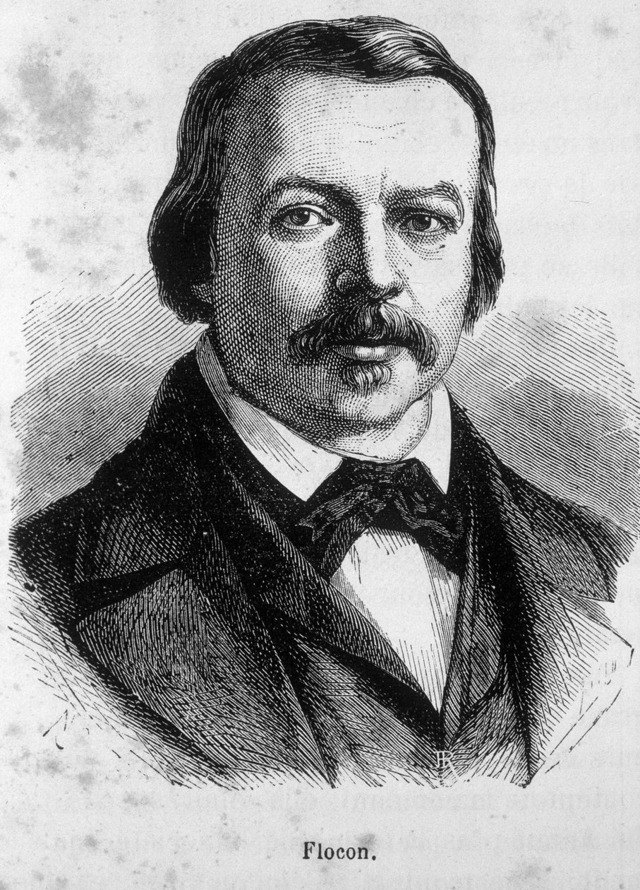 フランスのジャーナリスト、政治家であるフロコンの肖像（1800年～1866年 作： 無名の画家