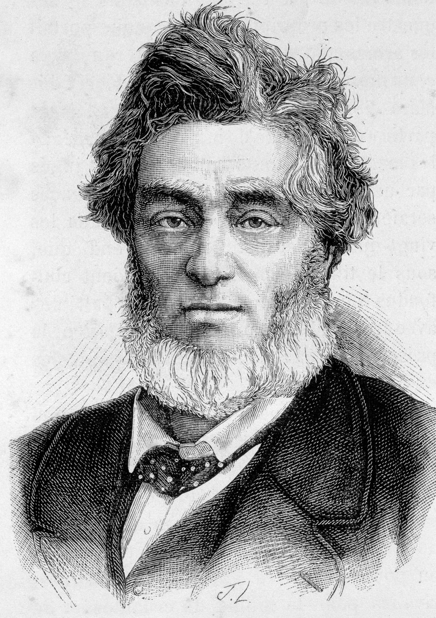 フランスの政治家、ジュール・ファーブル（1809 - 1880）の肖像。 作： 無名の画家