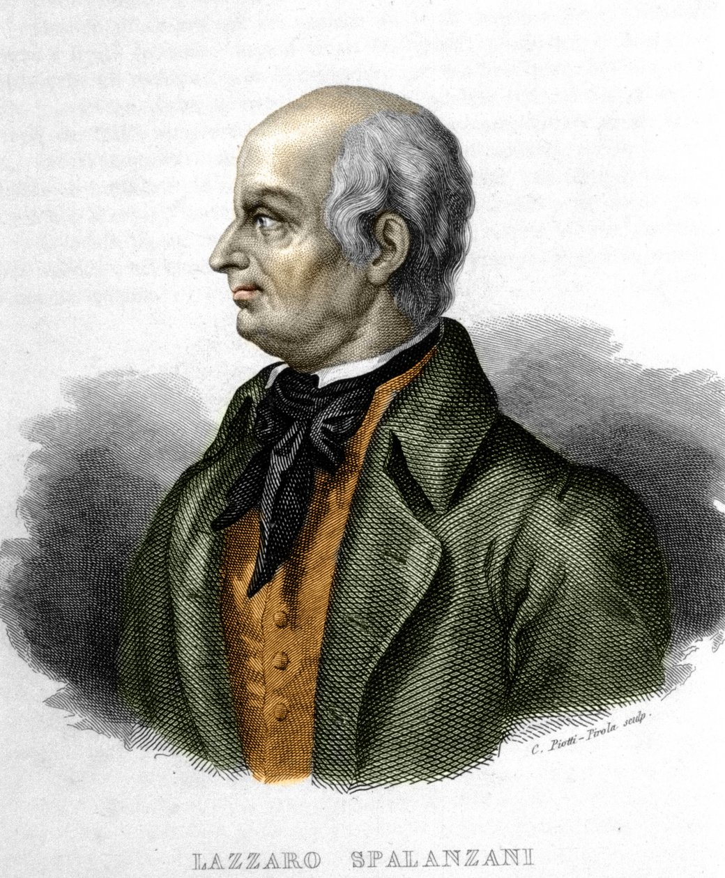 イタリアの生物学者ラザロ・スパランツァーニ（またはスパランツァーニ）の肖像（1729～1799年 作： 無名の画家