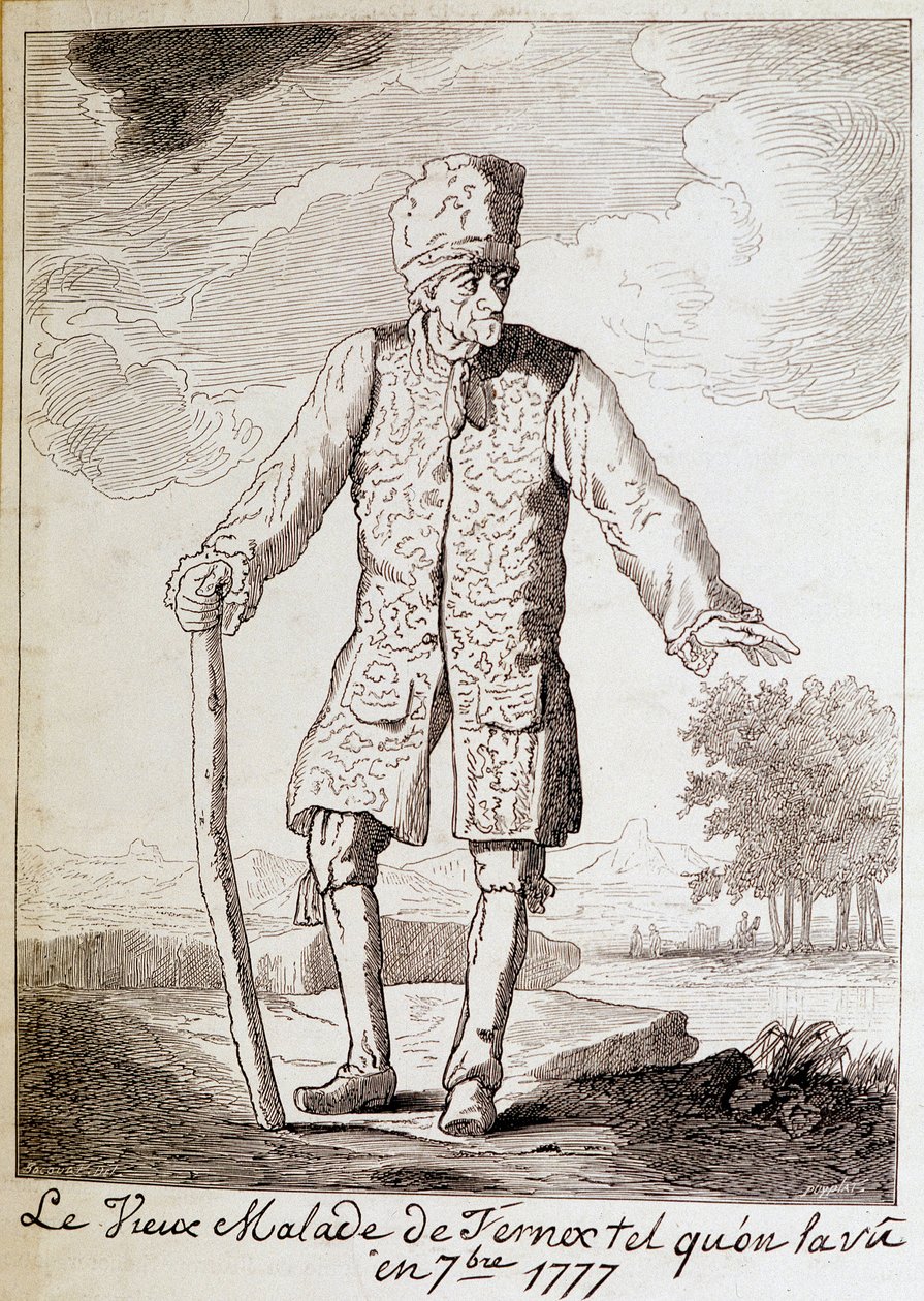 フランスの作家・哲学者であるヴォルテール（1694 - 1778）の肖像（高齢者）。 作： 無名の画家