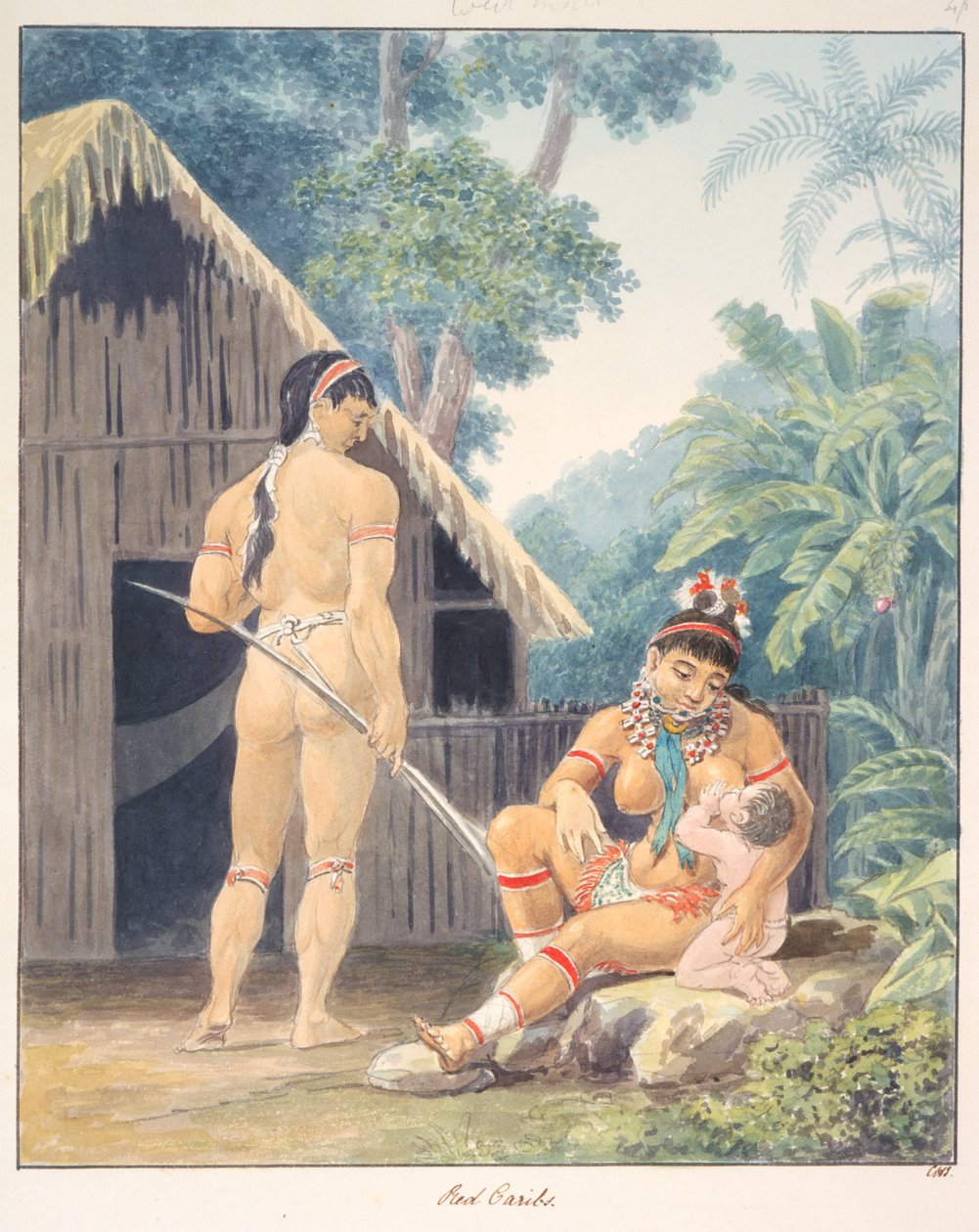 赤いカリブ人、1843-50年頃（水彩画） 作： 無名の画家