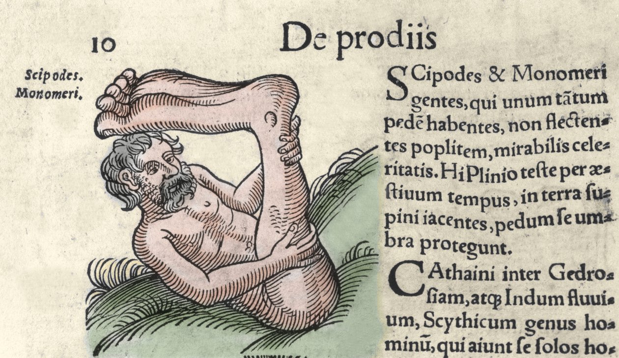 Sciapodの怪物の表現 1557年、Wolfhart（Conrad Lycosthene）の「The Book of Prodigiorum ac ostentorum Chronicon Basileae」からのエングレーヴィング。 作： 無名の画家