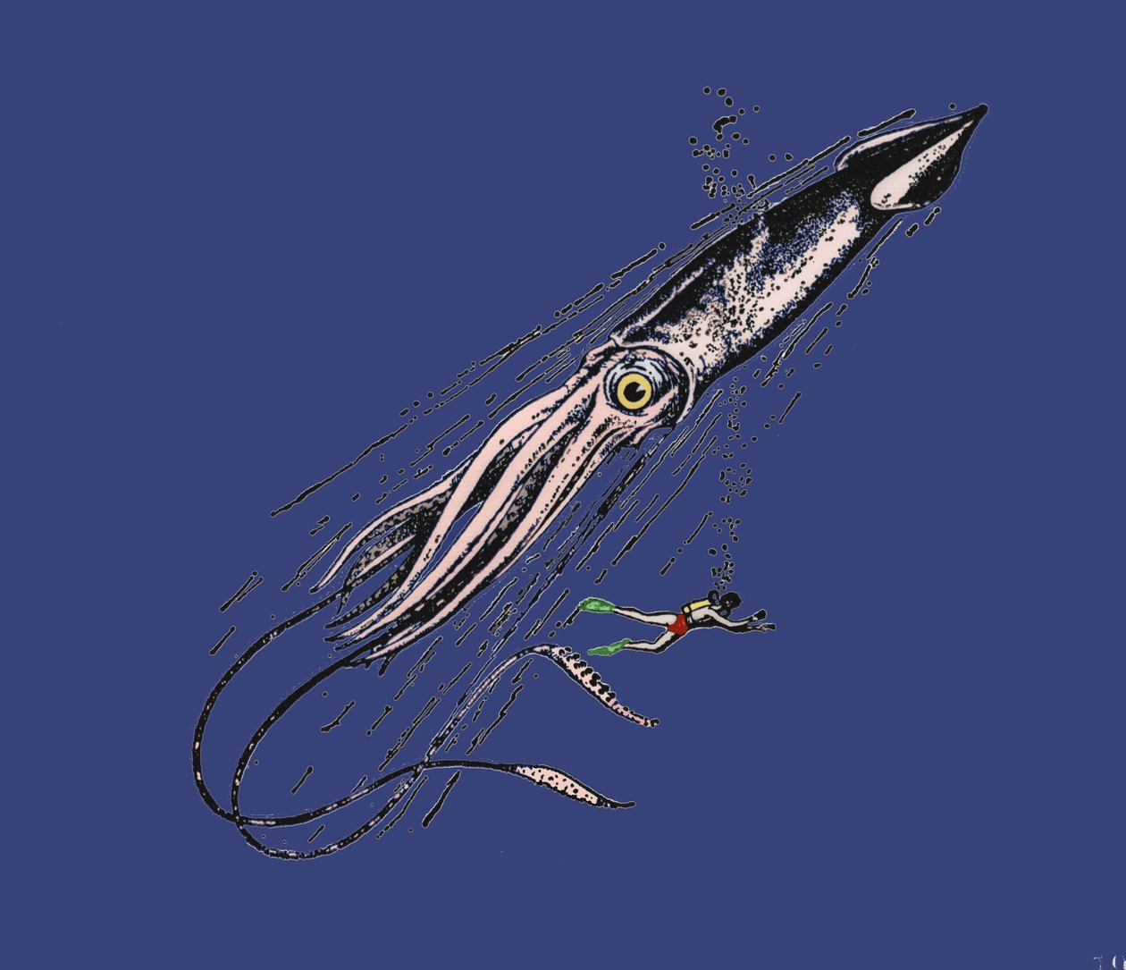 ダイオウイカ（Architeuthys）をヒューマンスケールで表現したもの。19世紀 作： 無名の画家