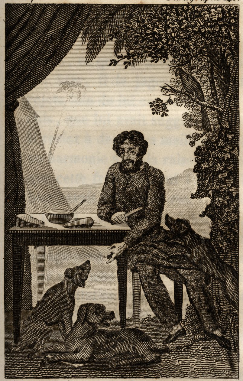 ダニエル・デフォーの "Les aventures de Robinson Crusoe"(1660-1731)に挿入されたエングレーヴィング、la librairie d